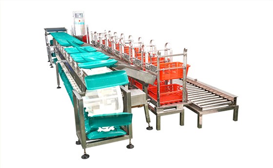 重量分級(jí)秤的特點(diǎn)是什么？簡(jiǎn)述分級(jí)秤構(gòu)造