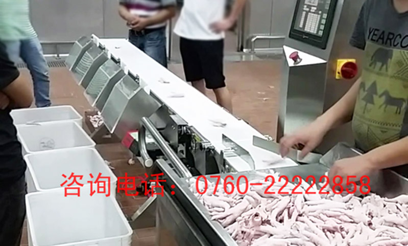 雞爪重量分選秤應(yīng)用案例