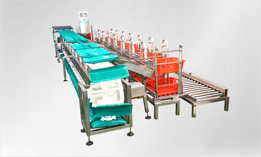 重量分級秤的優(yōu)點有哪些？說說自動分級秤特點